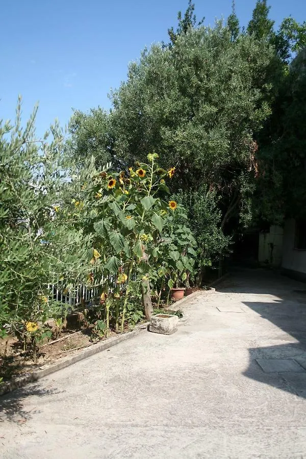Sunflower Сплит